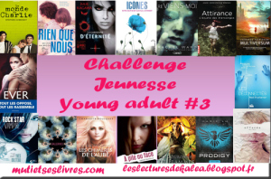 Challenge jeunesse:Young Adult #3